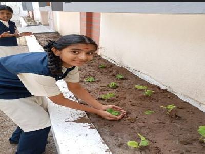 ECO CLUB ACTIVITY  VEGETABLE GARDEN INITIATIVE